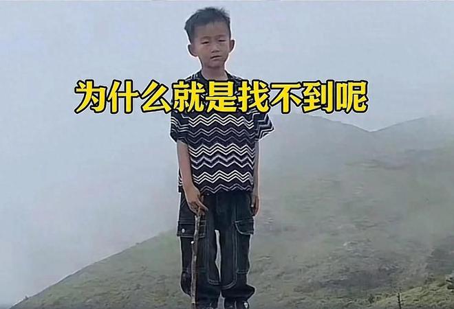 鼎阳科技震撼推出5GHz任意波形发生器SDG8000A系列