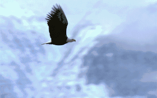 昨夜今晨全球大公司动态 马斯克称特斯拉80%价值将来自人形机器人；苹果首款可折叠手机明年亮相